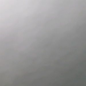 Meet your Posher, Wanda